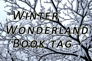 The Winter Wonderland Book Tag