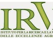 IRVEA, corso assaggiatori olio.