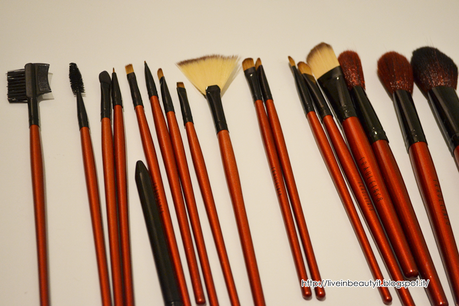 Fräulein3°8, 18 Pcs Profession Brushes Set - Review