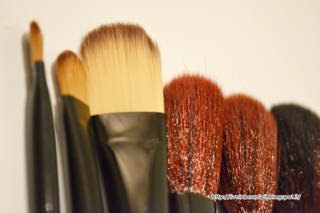 Fräulein3°8, 18 Pcs Profession Brushes Set - Review