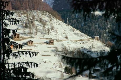 Buon Natale! Festeggiamo tra sapori e tradizioni