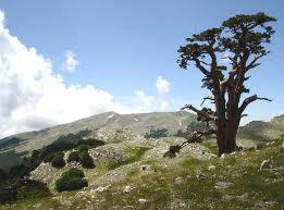 Giudizio negativo sulla gestione dei Parchi in Basilicata