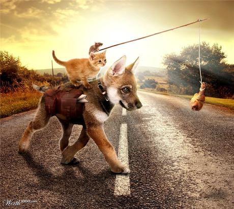 Alternate Transportation