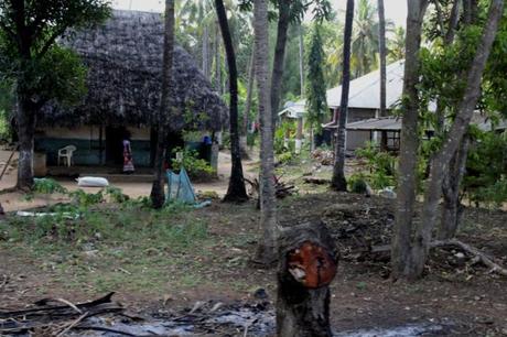 il Kenya tra le foreste