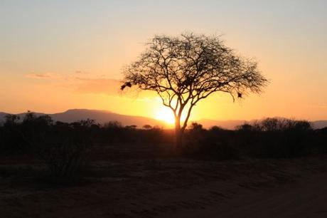 tramonto nella savana