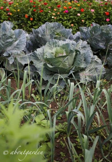 orto giardino a Miromesnil