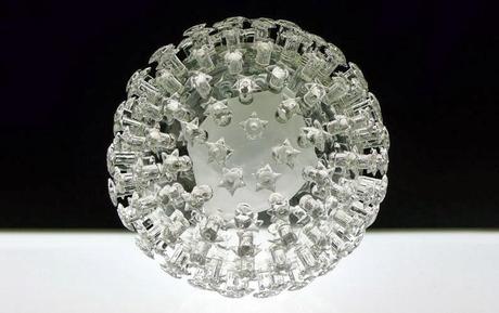 Luke Jerram, l'artista che realizza virus, batteri e protozoi in vetro soffiato