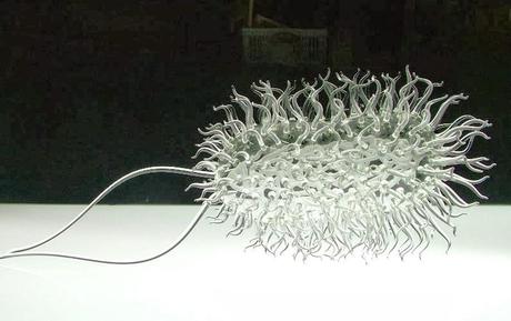 Luke Jerram, l'artista che realizza virus, batteri e protozoi in vetro soffiato