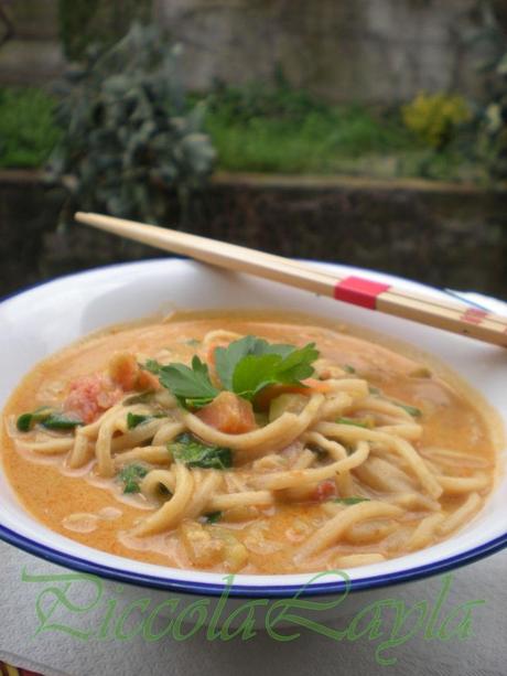 zuppa di noodles e verdure (7)b