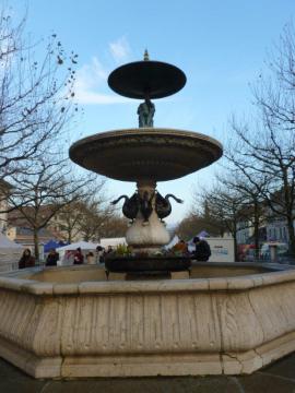 Fontana Carouge (2)