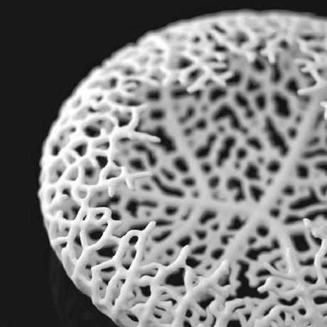 MAGNIFICI GIOIELLI CON PATTERNS STAMPATI IN 3D DA NERVOUS SYSTEM