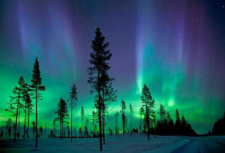 Dove osservare le aurore boreali ed australi?