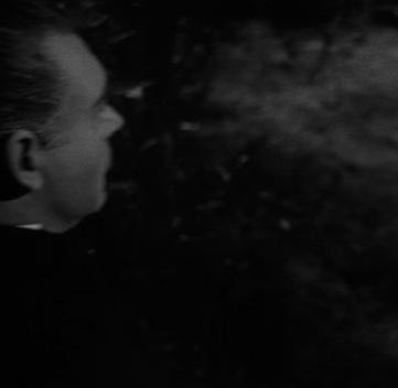 TI CAGHI IN MANO – Filmografia vampirica base – Parte I (Anni Venti-Anni Cinquanta) TI CAGHI IN MANO – Filmografia vampirica base – Parte I (Anni Venti-Anni Cinquanta)