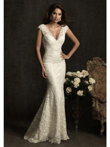 Sheath/Column V-neck Lace Luxury Wedding Dress