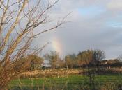 Seguendo l'arcobaleno