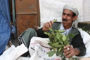 Qat: la nuova droga che contiene una molecola naturale dell’anfetamina