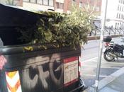 sana autocritica qualche volta guasta