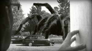 giant-spider01