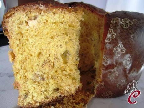 Panettone con impasto a mano al cioccolato bianco e pistacchi: il traguardo che mancava al mio Natale