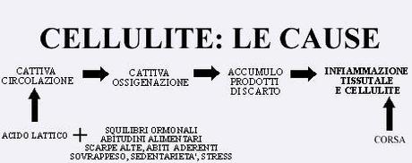 CELLULITE LE CAUSE