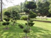Malaysia: giardino botanico