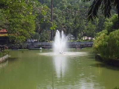 Malaysia: giardino botanico