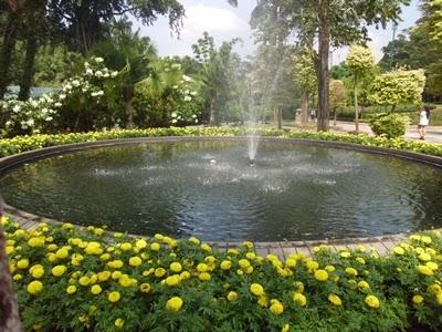 Malaysia: giardino botanico