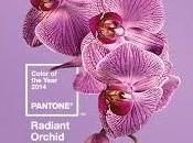 Radiant orchid colore Pantone 2014
