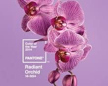 Radiant orchid il colore Pantone del 2014  