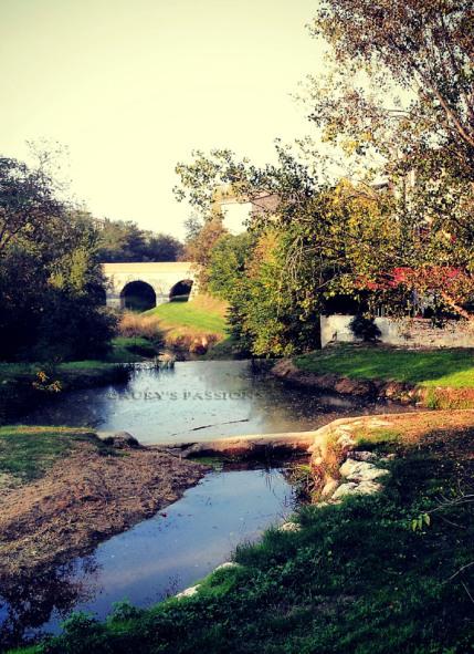 La foto della settimana: un ponte sul Rubicone, dove un dado fu tratto