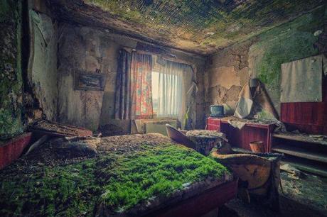 a_bed_of_moss_ii_by_illpadrino-d5ol69y