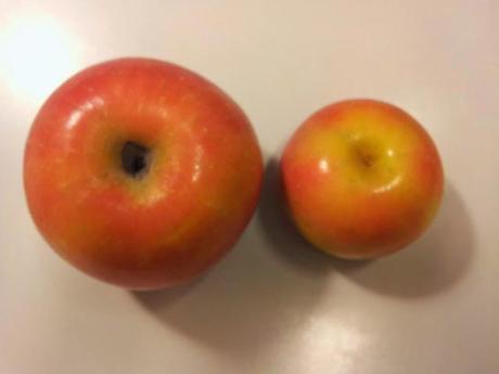 La Settimana del Carboidrato