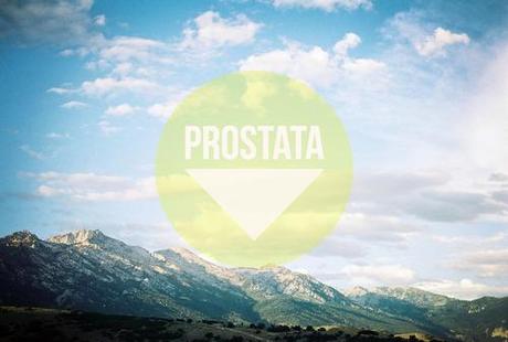 prostata