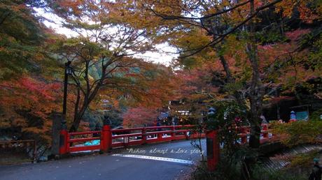 Kyoto nascosta #4: Takao