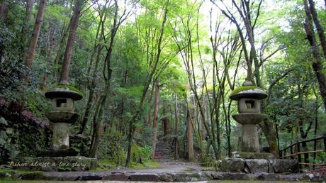 Kyoto nascosta #4: Takao