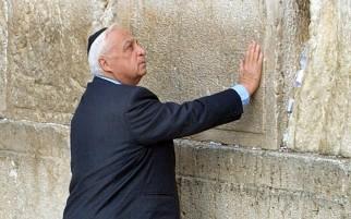 ariel sharon 3