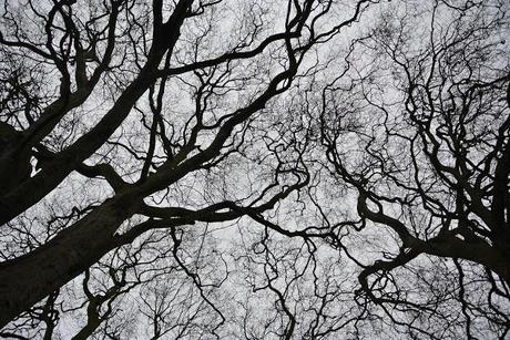 in viaggio,amata Bristol