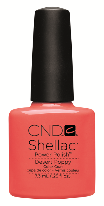 CND, Open Road Collection - Preview