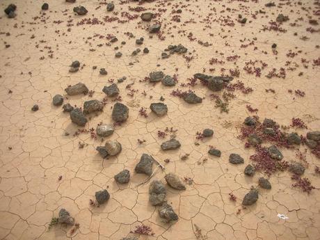 desertificazione 1024x768 Desertificazione e paura dei mutamenti climatici