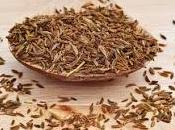 Oggi nella rubrica: erbe tintura, infuso, olio essenziale, Cumino
