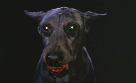 TI CAGHI IN MANO – Filmografia vampirica base – Parte II (Anni Sessanta-Anni Novanta) TI CAGHI IN MANO – Filmografia vampirica base – Parte II (Anni Sessanta-Anni Novanta)