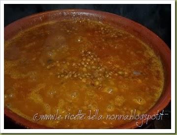 Lenticchie di Colfiorito con cipolla e pomodoro (6)