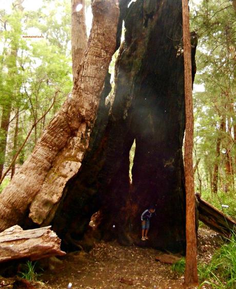 Il nostro viaggio nel Western Australia nelle 20 foto più belle, prima parte