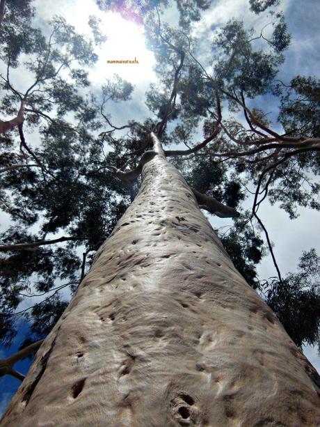 Il nostro viaggio nel Western Australia nelle 20 foto più belle, prima parte