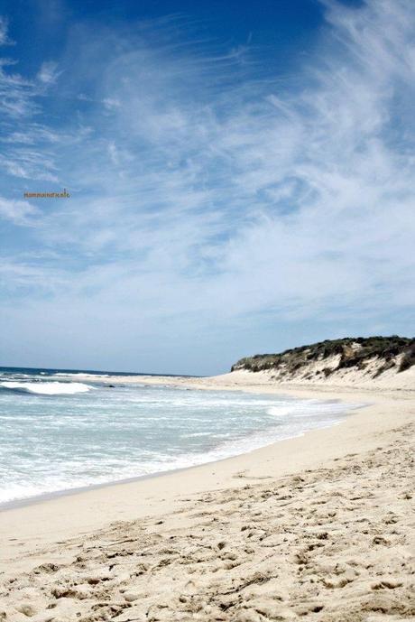 Il nostro viaggio nel Western Australia nelle 20 foto più belle, prima parte