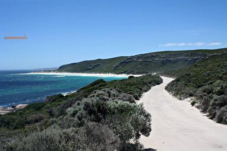 Il nostro viaggio nel Western Australia nelle 20 foto più belle, prima parte