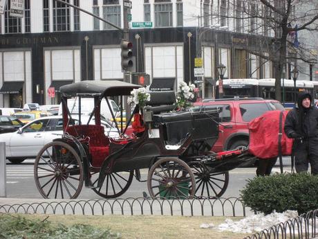 New York, carrozze e cocchieri