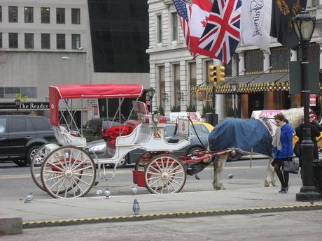 New York, carrozze e cocchieri