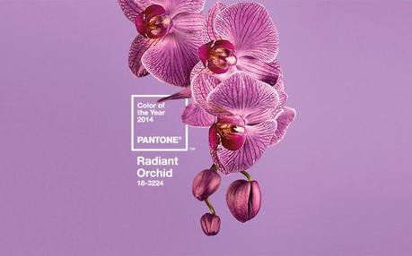 Pantone elegge il Radiant Orchid colore 2014