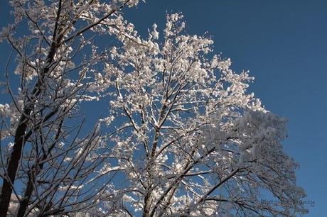 SOGNO IN BIANCO